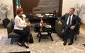Ahead of Arab Summit, UN Special Coordinator Discusses with Ambassadors How to Shield Lebanon
