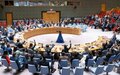 United Nations Special Coordinator for Lebanon briefs Security Council